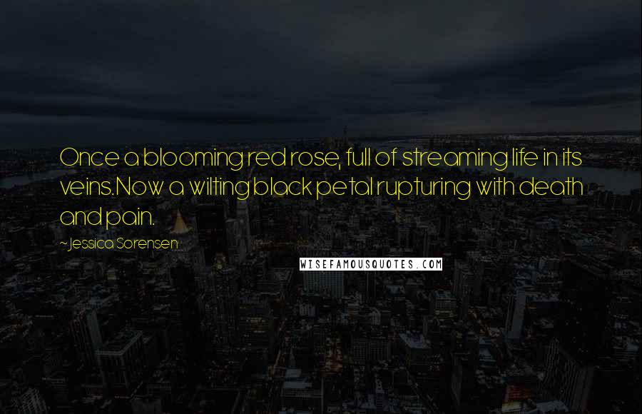 Jessica Sorensen Quotes: Once a blooming red rose, full of streaming life in its veins.Now a wilting black petal rupturing with death and pain.