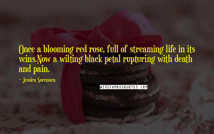 Jessica Sorensen Quotes: Once a blooming red rose, full of streaming life in its veins.Now a wilting black petal rupturing with death and pain.