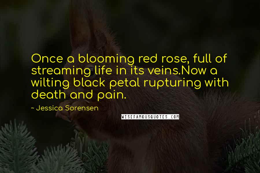 Jessica Sorensen Quotes: Once a blooming red rose, full of streaming life in its veins.Now a wilting black petal rupturing with death and pain.