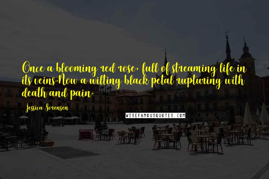 Jessica Sorensen Quotes: Once a blooming red rose, full of streaming life in its veins.Now a wilting black petal rupturing with death and pain.