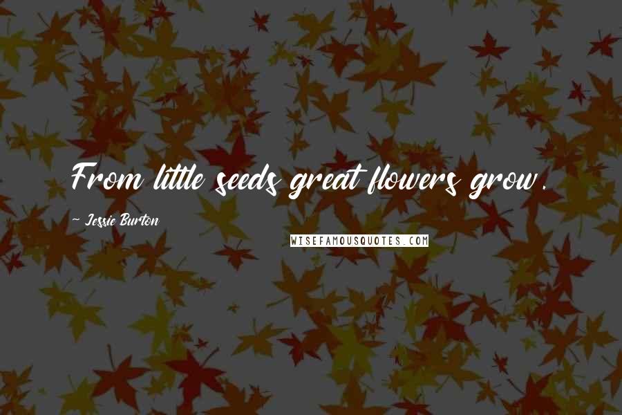 Jessie Burton Quotes: From little seeds great flowers grow.