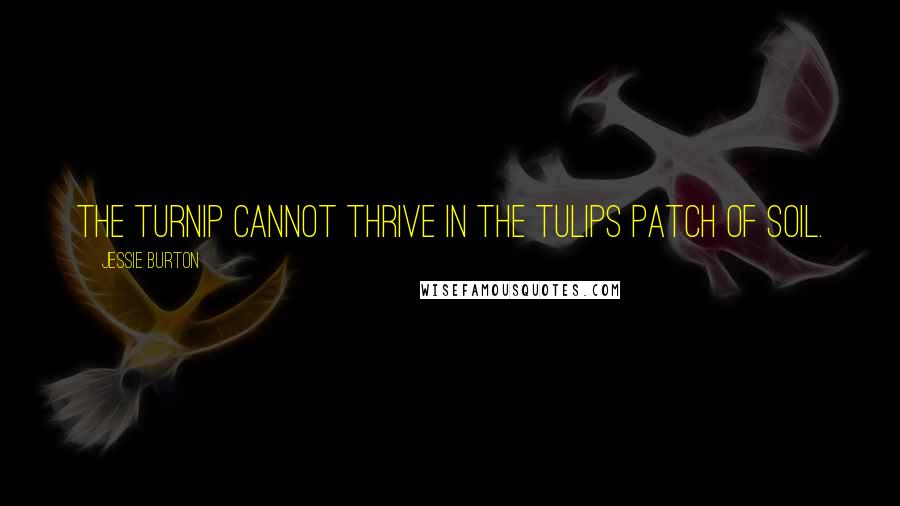 Jessie Burton Quotes: The turnip cannot thrive in the tulips patch of soil.