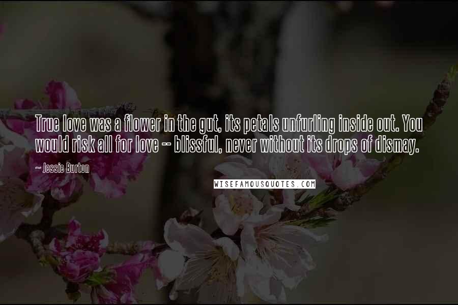 Jessie Burton Quotes: True love was a flower in the gut, its petals unfurling inside out. You would risk all for love -- blissful, never without its drops of dismay.