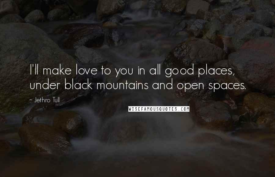 Jethro Tull Quotes: I'll make love to you in all good places, under black mountains and open spaces.