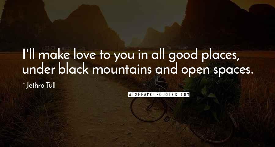 Jethro Tull Quotes: I'll make love to you in all good places, under black mountains and open spaces.