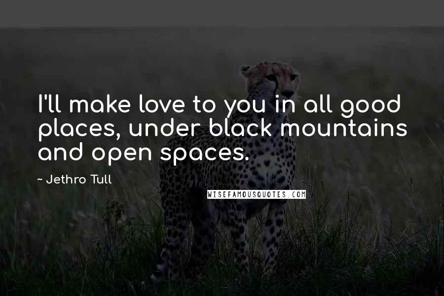 Jethro Tull Quotes: I'll make love to you in all good places, under black mountains and open spaces.