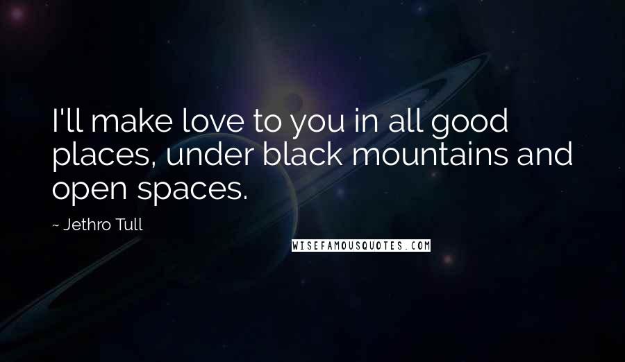 Jethro Tull Quotes: I'll make love to you in all good places, under black mountains and open spaces.