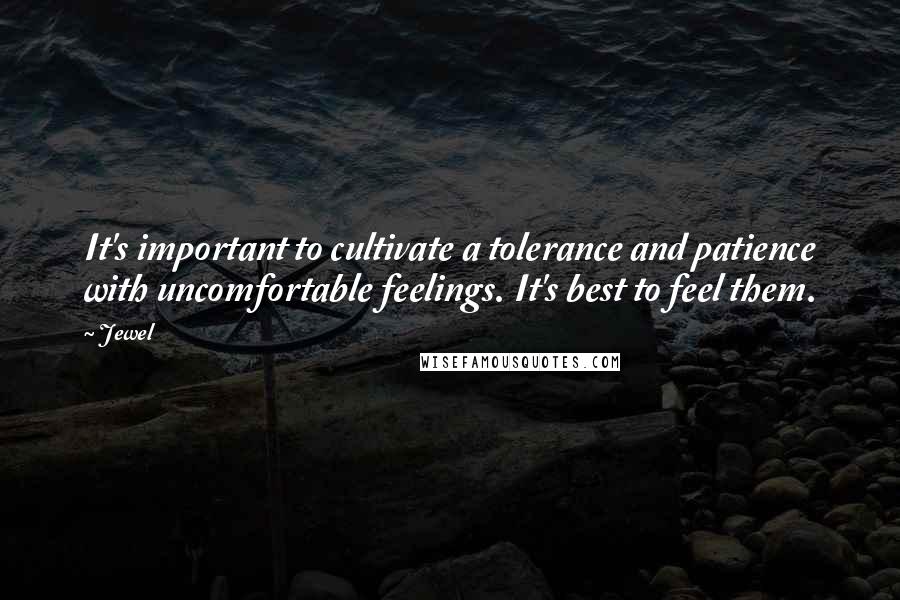 Jewel Quotes: It's important to cultivate a tolerance and patience with uncomfortable feelings. It's best to feel them.
