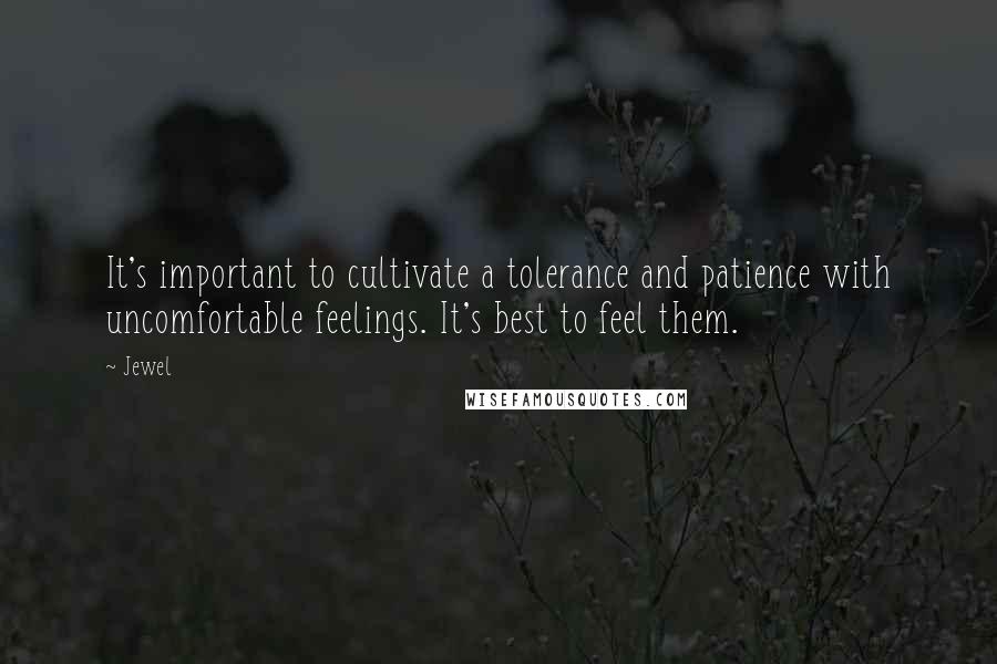 Jewel Quotes: It's important to cultivate a tolerance and patience with uncomfortable feelings. It's best to feel them.