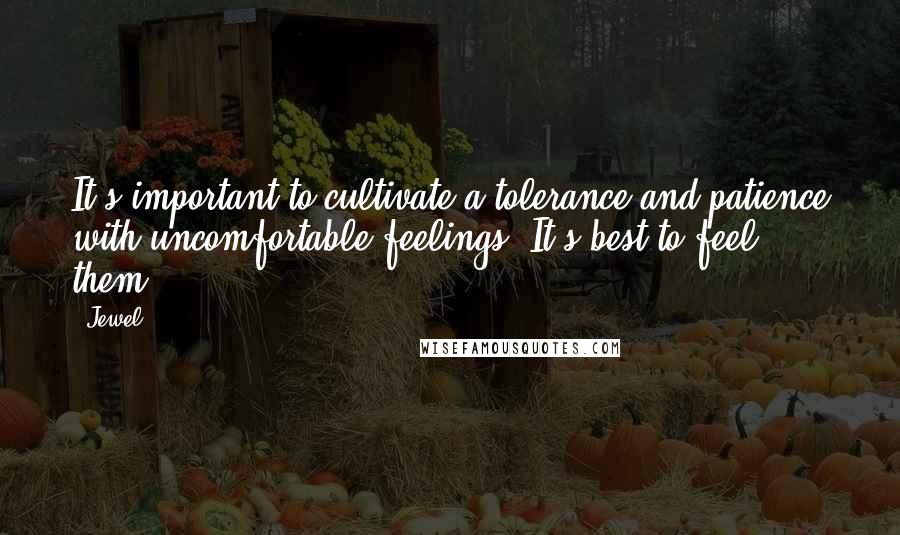 Jewel Quotes: It's important to cultivate a tolerance and patience with uncomfortable feelings. It's best to feel them.