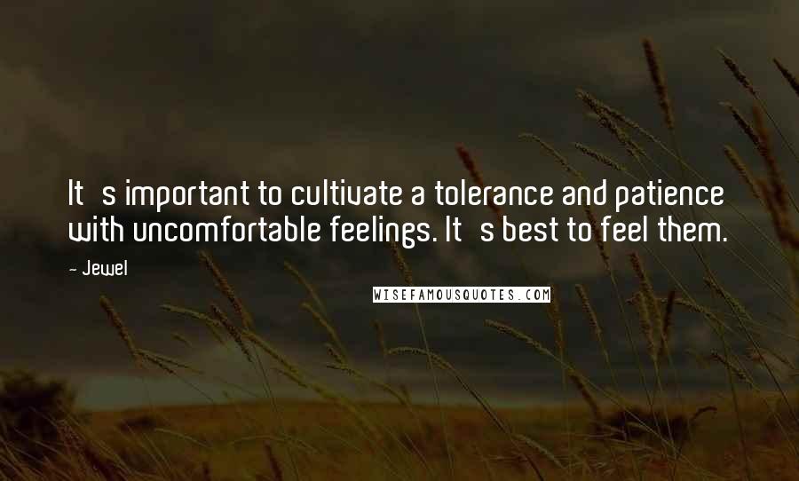 Jewel Quotes: It's important to cultivate a tolerance and patience with uncomfortable feelings. It's best to feel them.