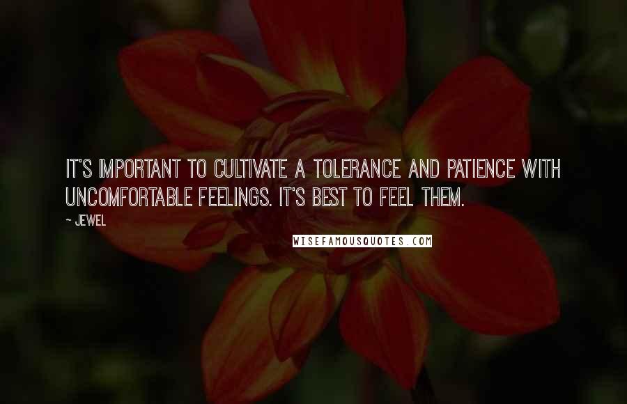 Jewel Quotes: It's important to cultivate a tolerance and patience with uncomfortable feelings. It's best to feel them.