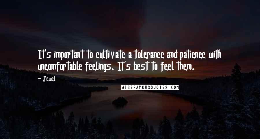 Jewel Quotes: It's important to cultivate a tolerance and patience with uncomfortable feelings. It's best to feel them.