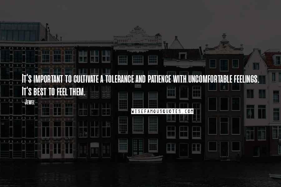 Jewel Quotes: It's important to cultivate a tolerance and patience with uncomfortable feelings. It's best to feel them.