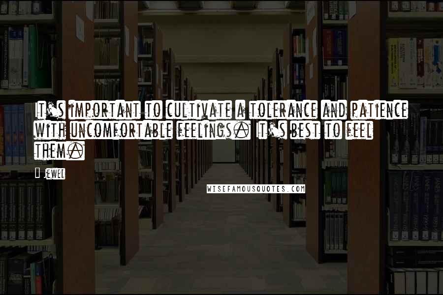Jewel Quotes: It's important to cultivate a tolerance and patience with uncomfortable feelings. It's best to feel them.