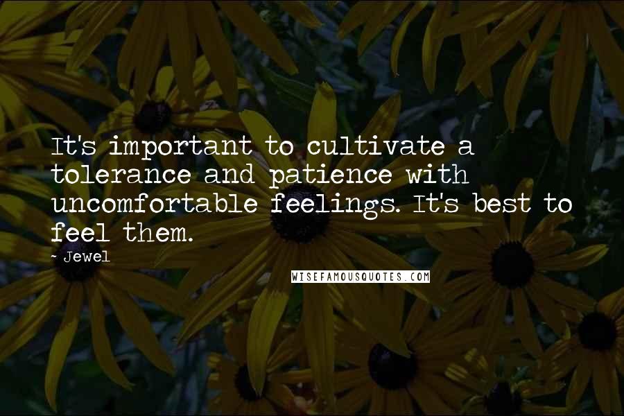 Jewel Quotes: It's important to cultivate a tolerance and patience with uncomfortable feelings. It's best to feel them.