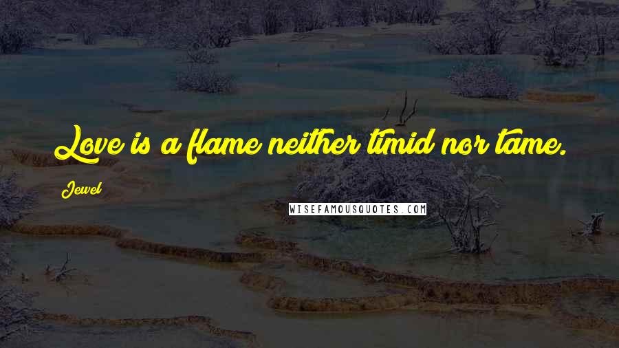 Jewel Quotes: Love is a flame neither timid nor tame.