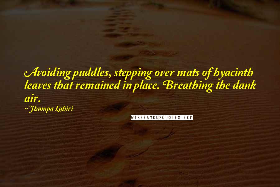 Jhumpa Lahiri Quotes: Avoiding puddles, stepping over mats of hyacinth leaves that remained in place. Breathing the dank air.
