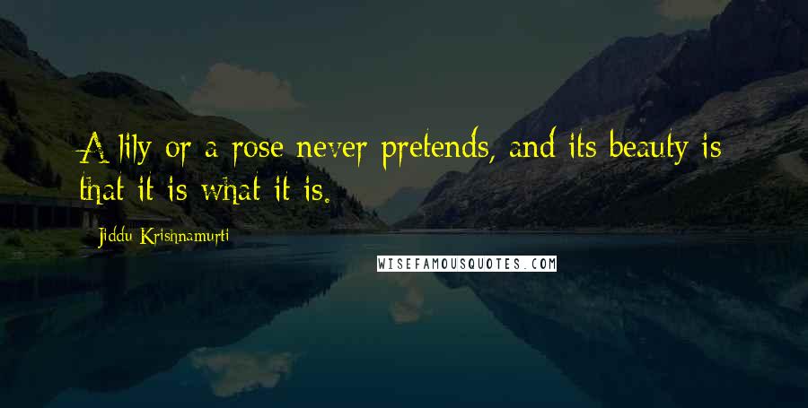 Jiddu Krishnamurti Quotes: A lily or a rose never pretends, and its beauty is that it is what it is.