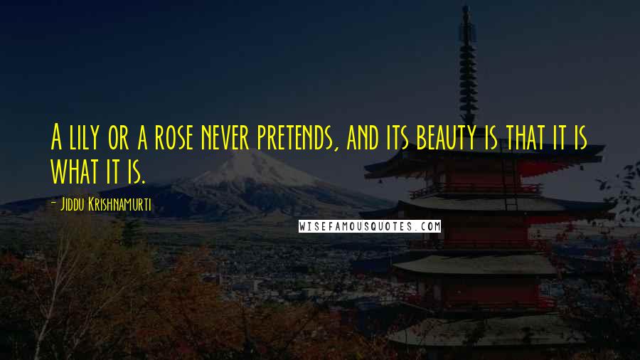 Jiddu Krishnamurti Quotes: A lily or a rose never pretends, and its beauty is that it is what it is.