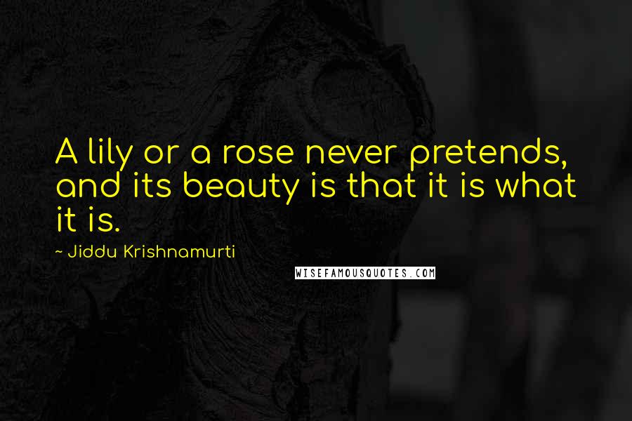 Jiddu Krishnamurti Quotes: A lily or a rose never pretends, and its beauty is that it is what it is.