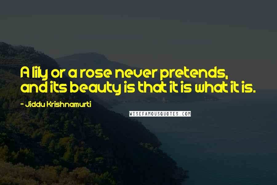 Jiddu Krishnamurti Quotes: A lily or a rose never pretends, and its beauty is that it is what it is.