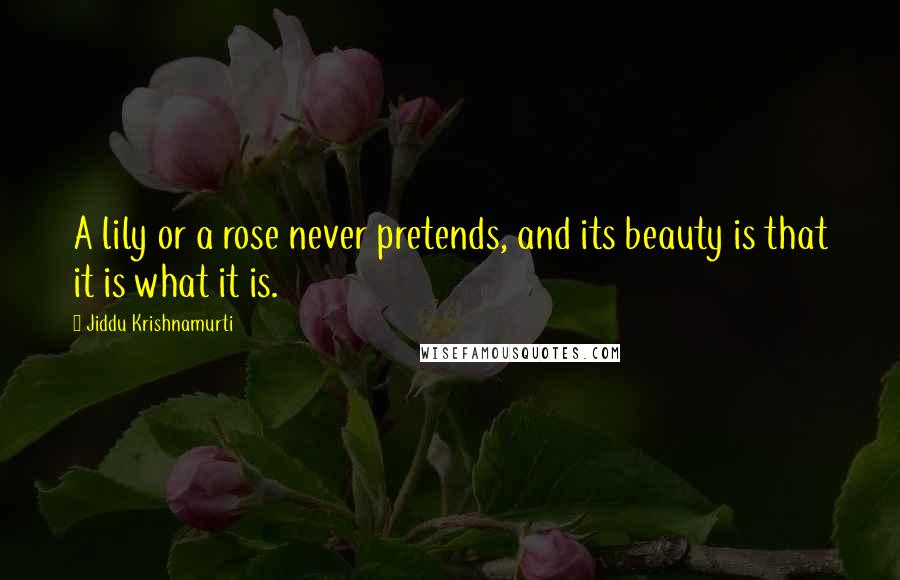 Jiddu Krishnamurti Quotes: A lily or a rose never pretends, and its beauty is that it is what it is.