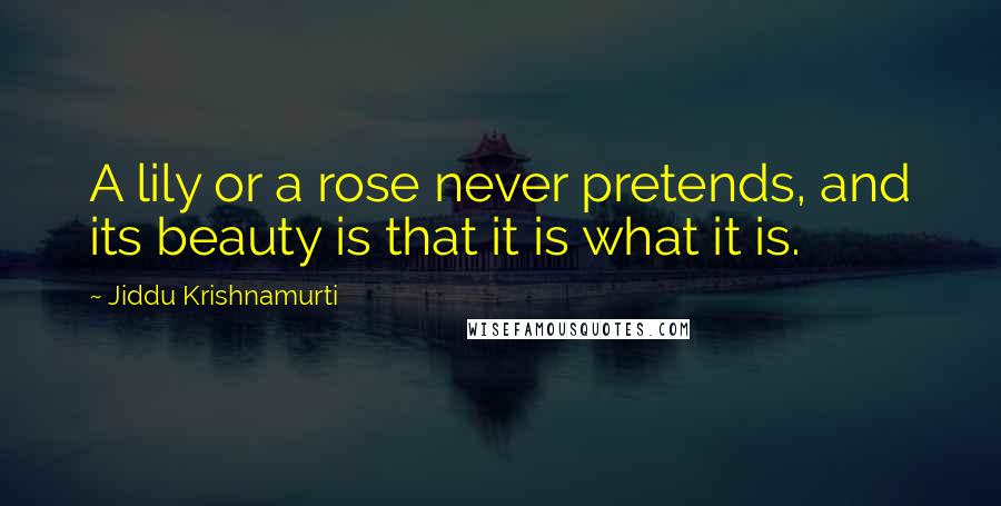 Jiddu Krishnamurti Quotes: A lily or a rose never pretends, and its beauty is that it is what it is.