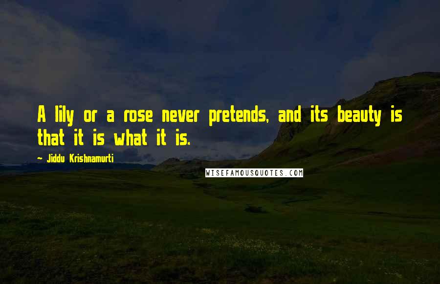 Jiddu Krishnamurti Quotes: A lily or a rose never pretends, and its beauty is that it is what it is.