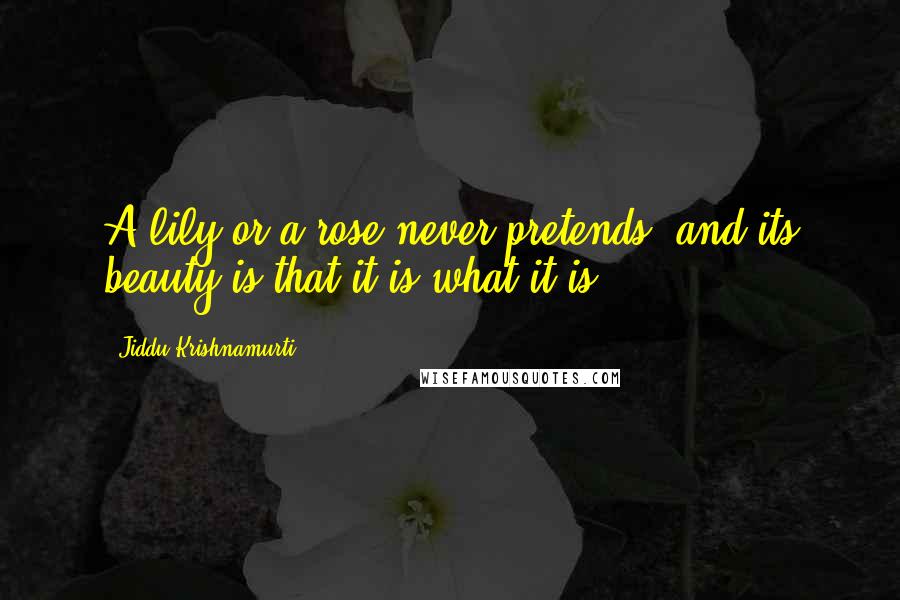 Jiddu Krishnamurti Quotes: A lily or a rose never pretends, and its beauty is that it is what it is.