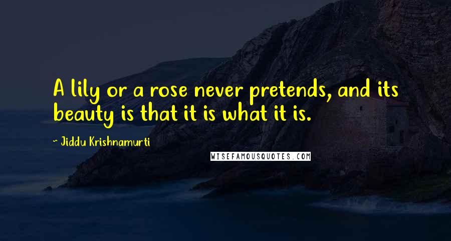 Jiddu Krishnamurti Quotes: A lily or a rose never pretends, and its beauty is that it is what it is.