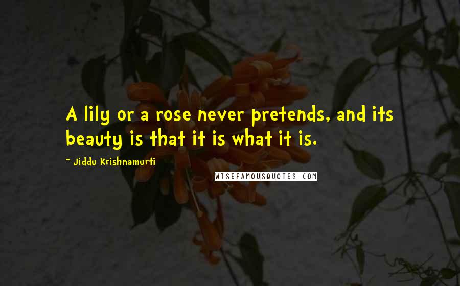 Jiddu Krishnamurti Quotes: A lily or a rose never pretends, and its beauty is that it is what it is.