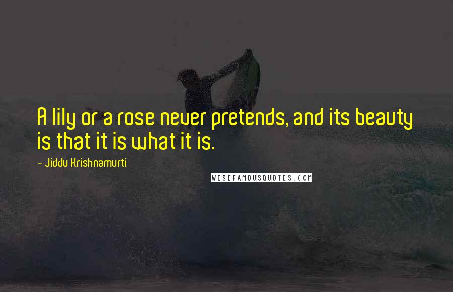 Jiddu Krishnamurti Quotes: A lily or a rose never pretends, and its beauty is that it is what it is.