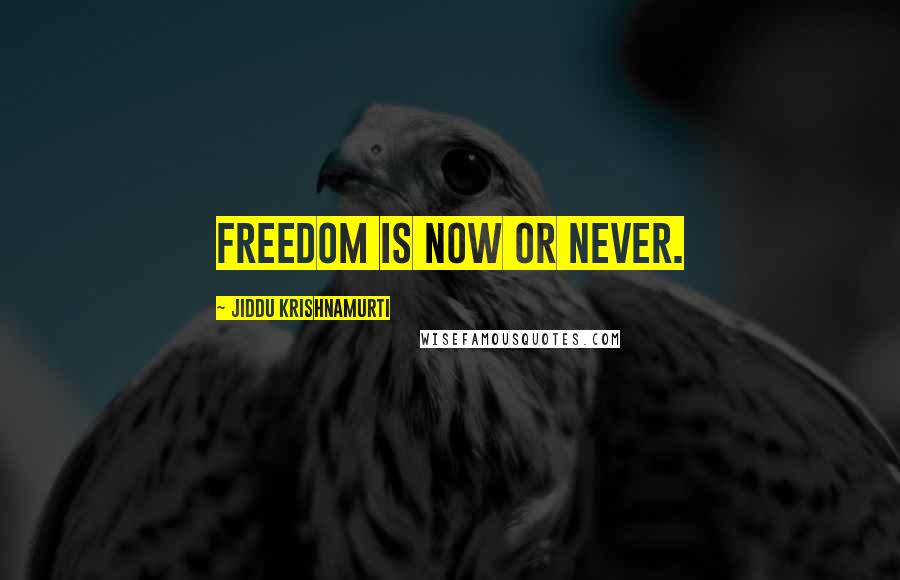 Jiddu Krishnamurti Quotes: Freedom is now or never.