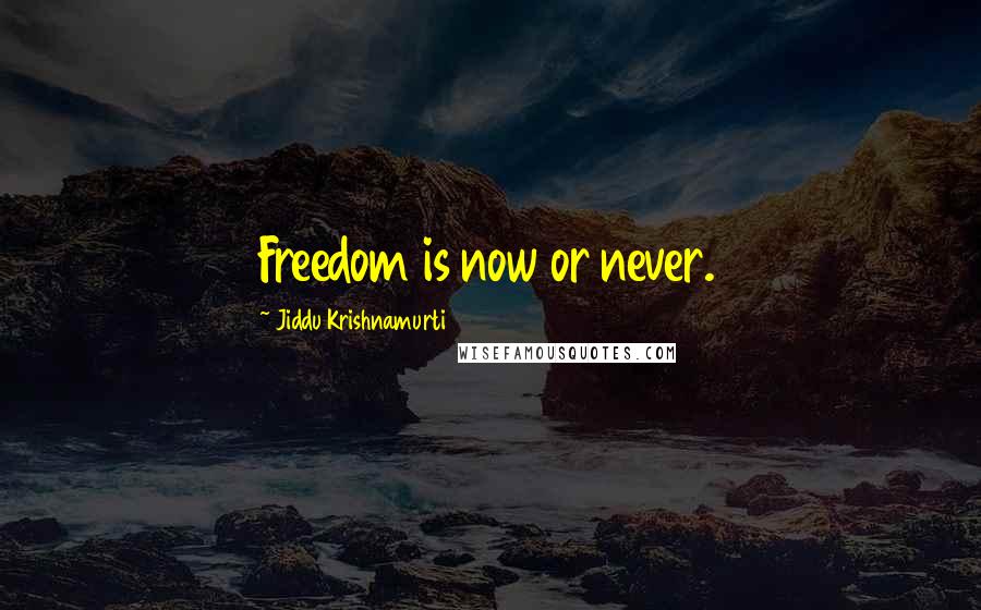 Jiddu Krishnamurti Quotes: Freedom is now or never.