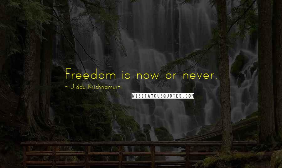 Jiddu Krishnamurti Quotes: Freedom is now or never.