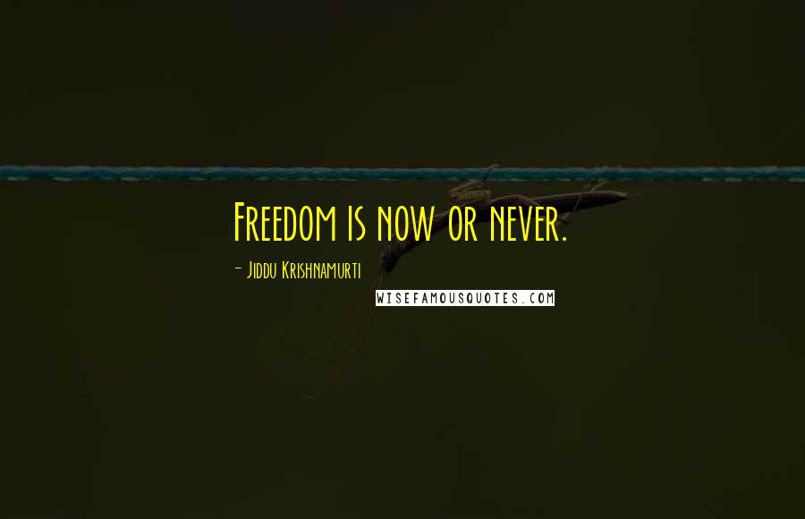 Jiddu Krishnamurti Quotes: Freedom is now or never.