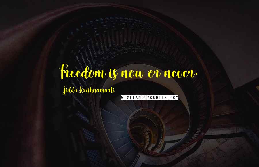 Jiddu Krishnamurti Quotes: Freedom is now or never.