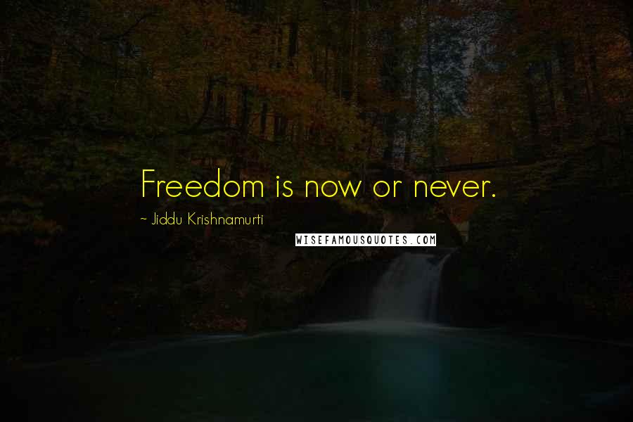 Jiddu Krishnamurti Quotes: Freedom is now or never.