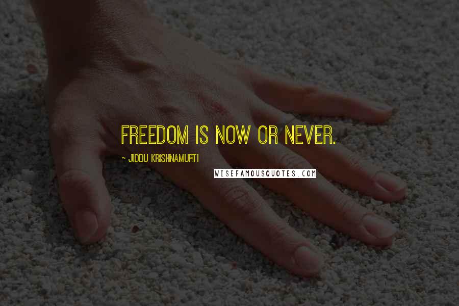 Jiddu Krishnamurti Quotes: Freedom is now or never.