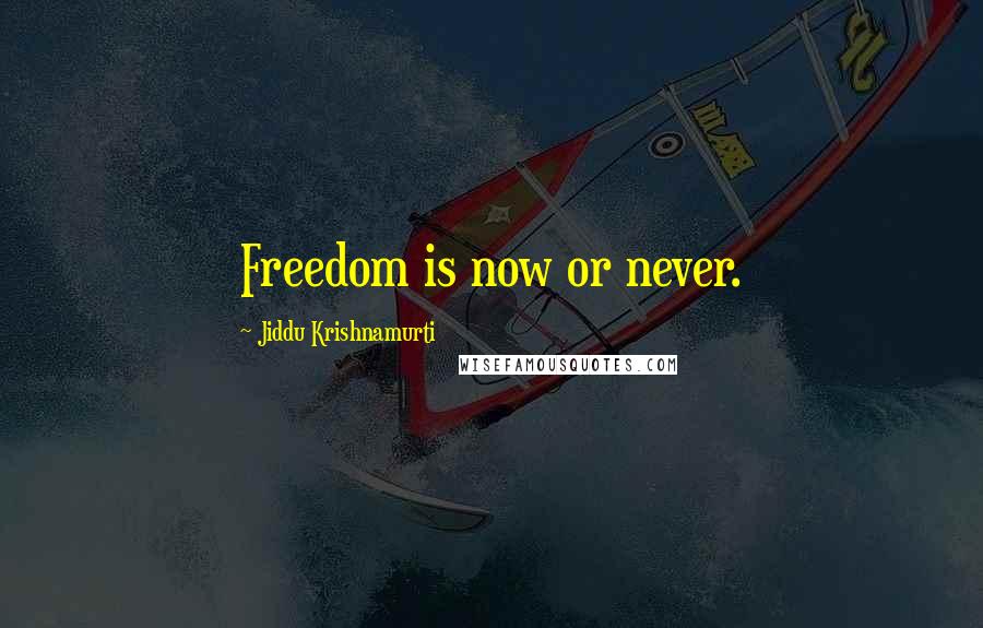 Jiddu Krishnamurti Quotes: Freedom is now or never.