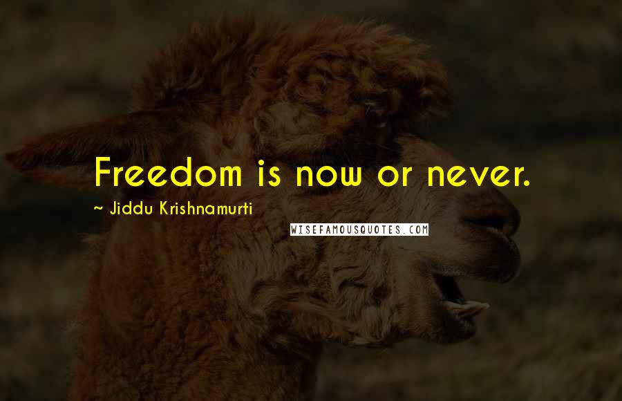 Jiddu Krishnamurti Quotes: Freedom is now or never.