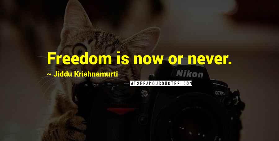 Jiddu Krishnamurti Quotes: Freedom is now or never.