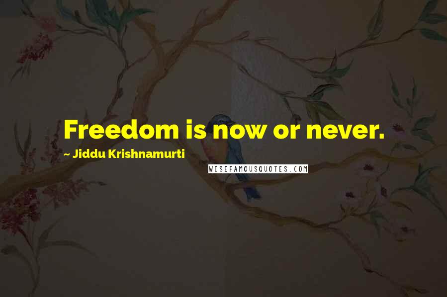 Jiddu Krishnamurti Quotes: Freedom is now or never.