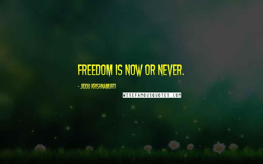 Jiddu Krishnamurti Quotes: Freedom is now or never.