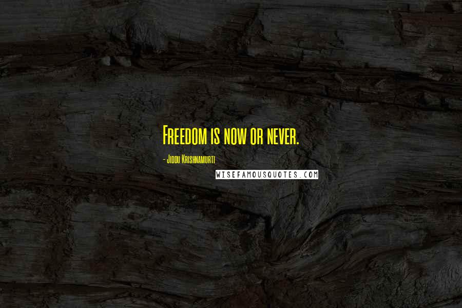 Jiddu Krishnamurti Quotes: Freedom is now or never.