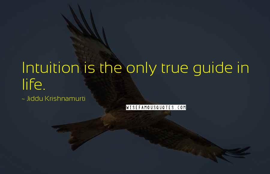 Jiddu Krishnamurti Quotes: Intuition is the only true guide in life.