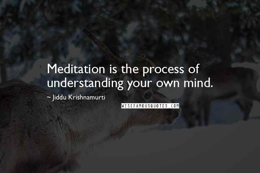 Jiddu Krishnamurti Quotes: Meditation is the process of understanding your own mind.