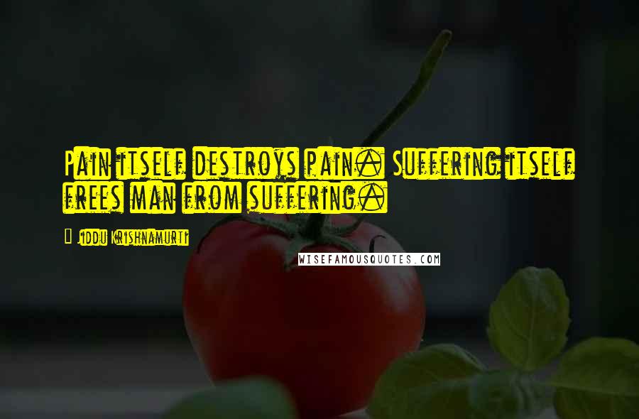 Jiddu Krishnamurti Quotes: Pain itself destroys pain. Suffering itself frees man from suffering.