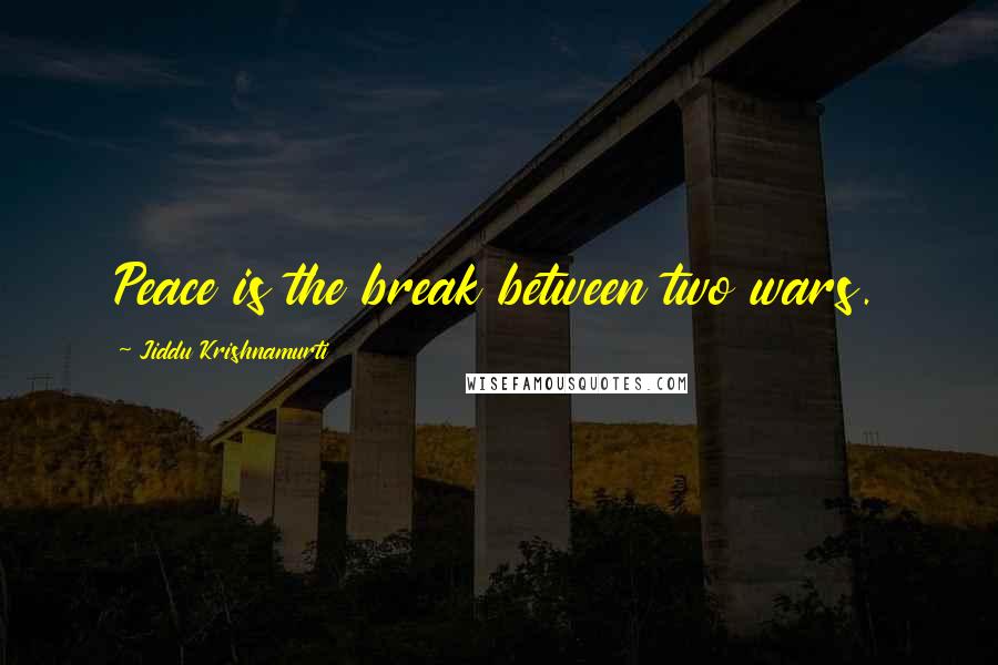 Jiddu Krishnamurti Quotes: Peace is the break between two wars.